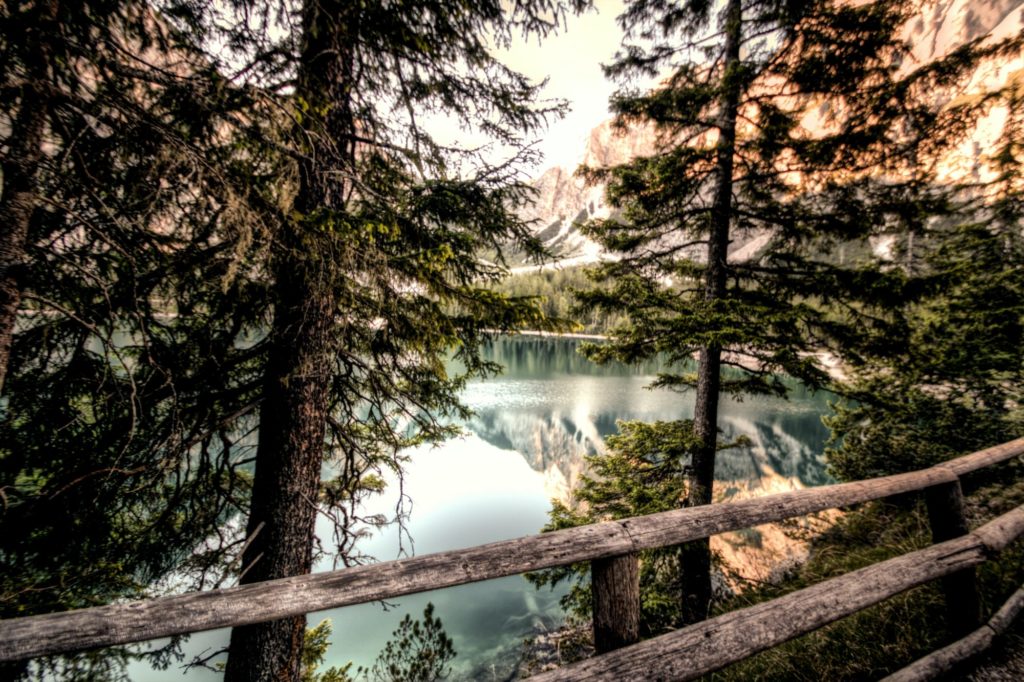 Serene mountain lake view through forest trees.