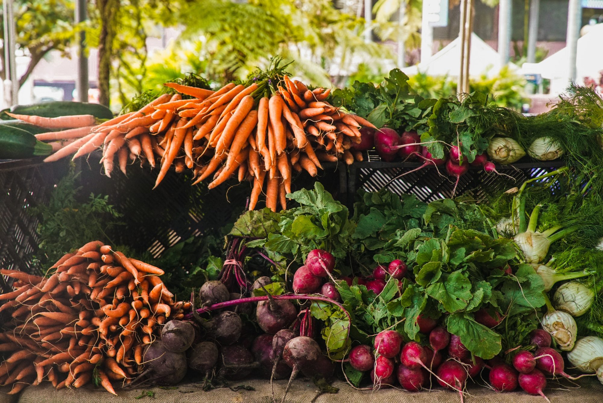 vegetables ready for market